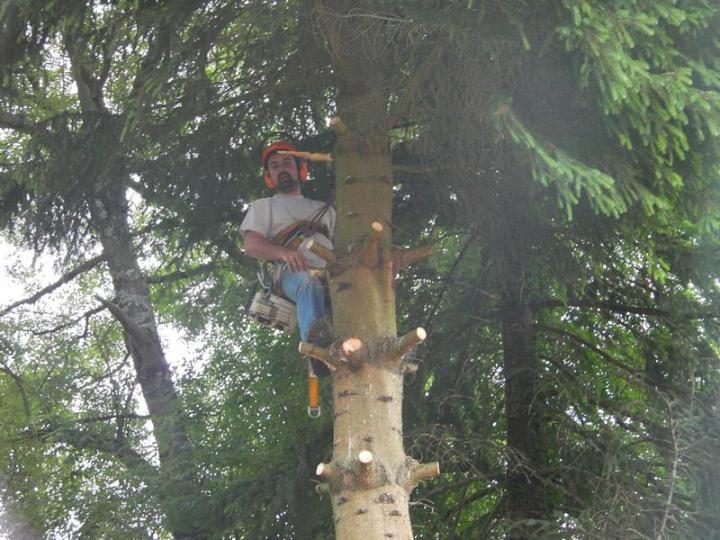 Élagage d'arbres Dijon