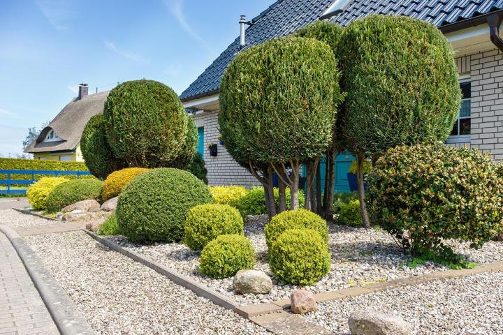 Plantation arbustes/arbres Dijon